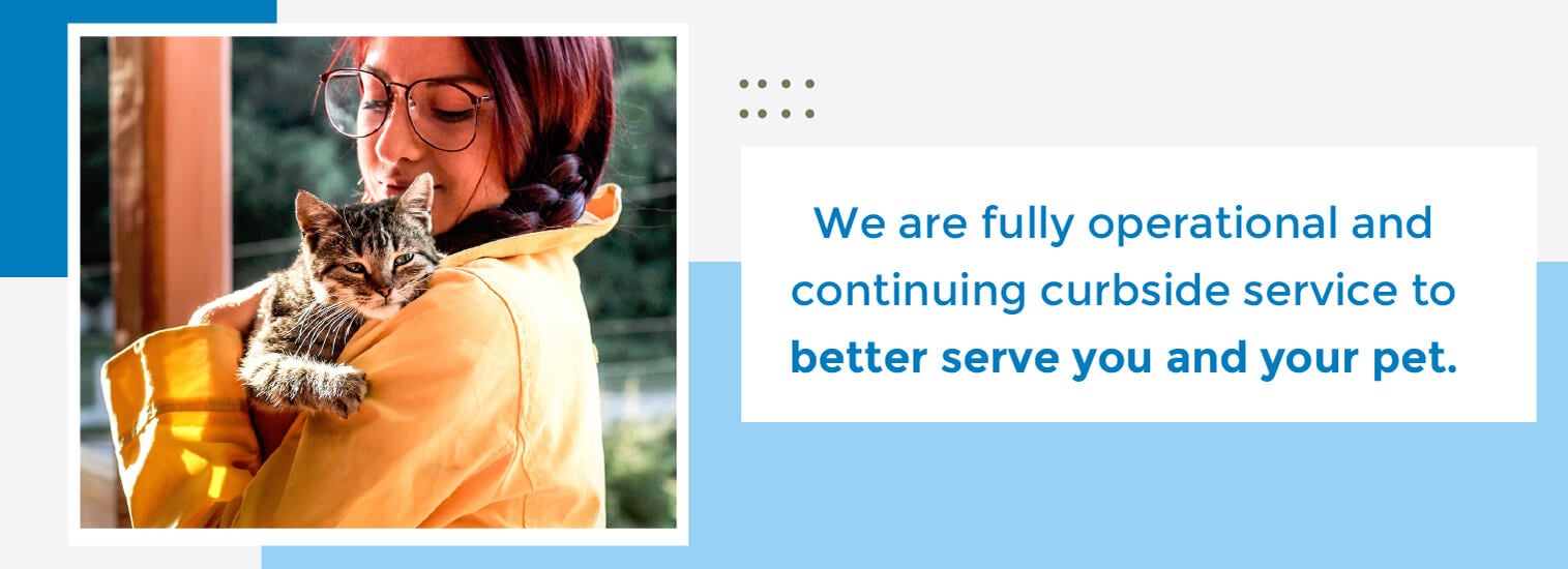 Top Rated Local Veterinarians Indian Trail Animal Hospital