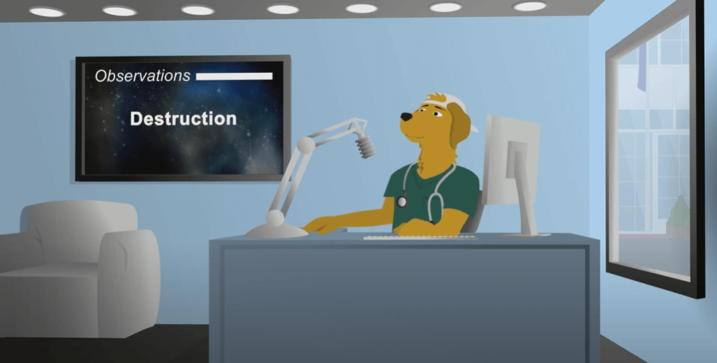 Today on Dog Talk Why does my dog stress out when I leave the house