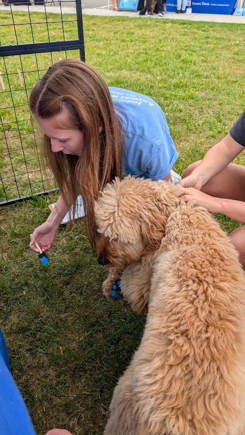 Paws In The Park 1