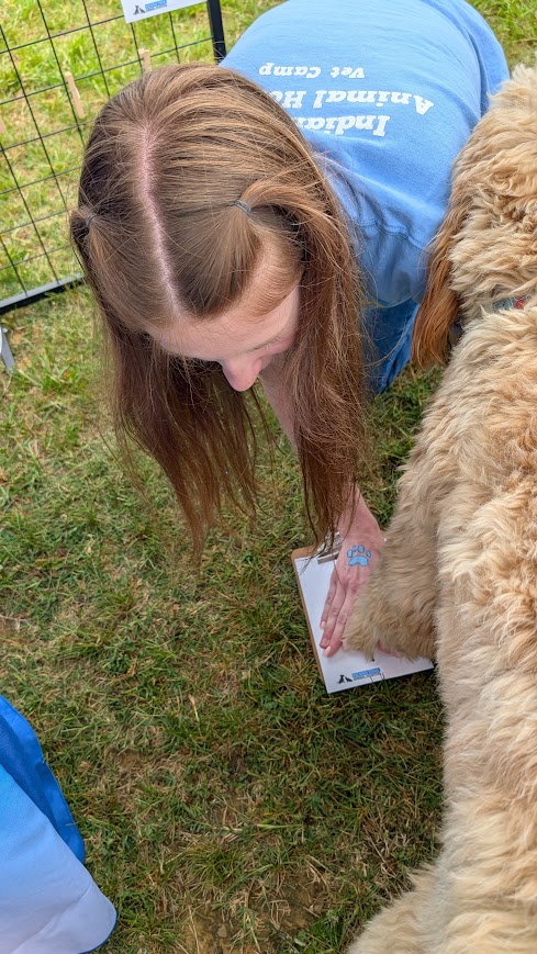 Paws In The Park 2