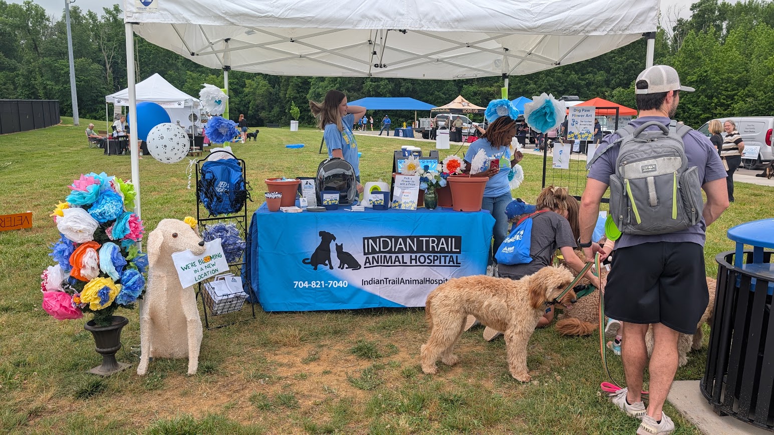 Paws In The Park 3