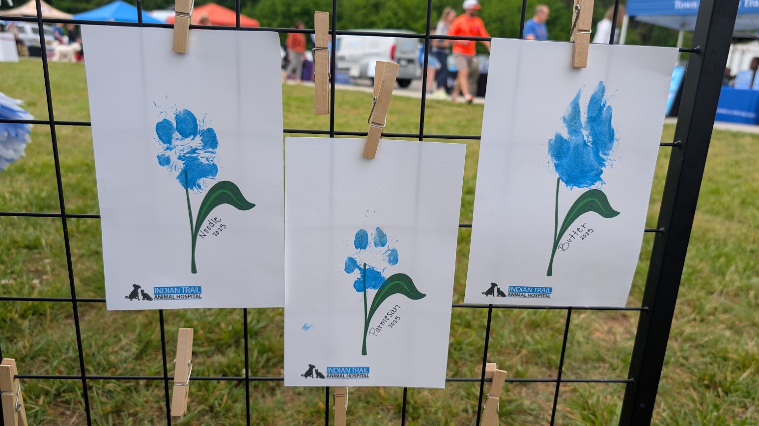 Paws In The Park 4
