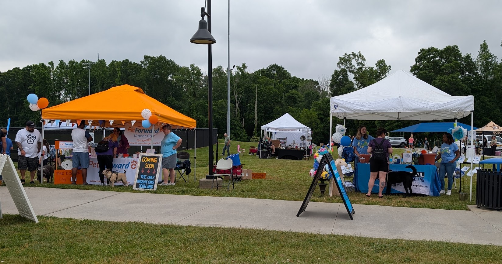 Paws In The Park 6