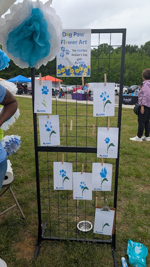 Paws In The Park 7