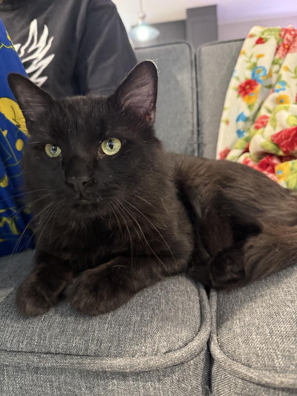 Description of image 2