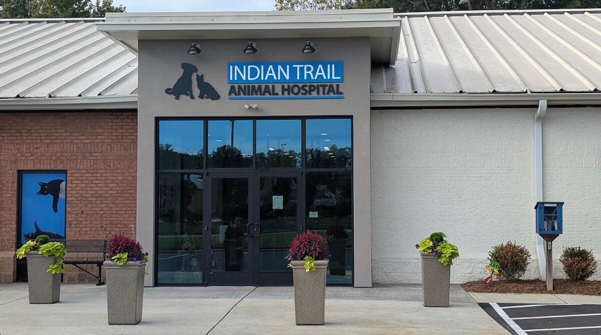 Top Veterinarian Indian Trail, NC