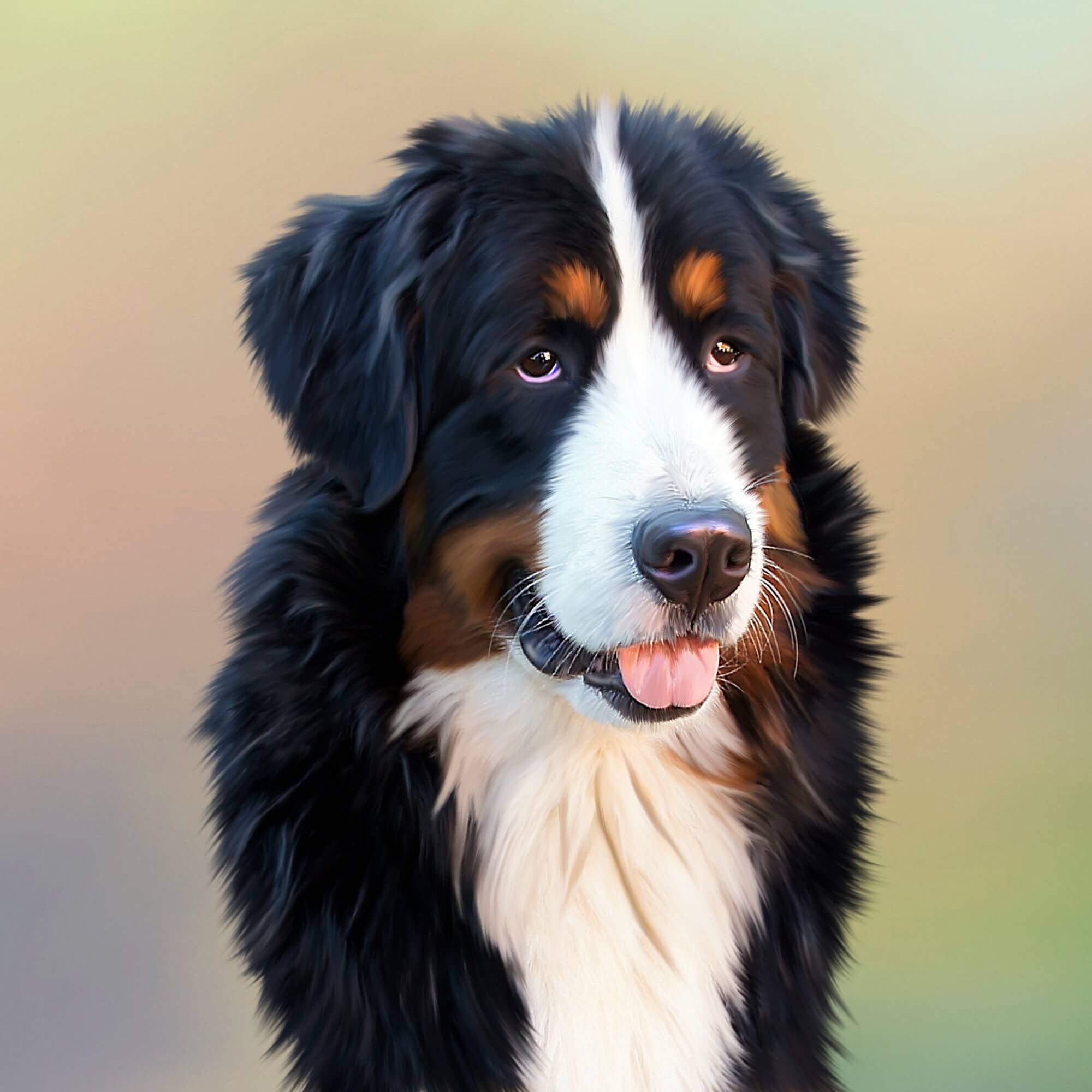 Dog Diagnostic Imaging Bernese