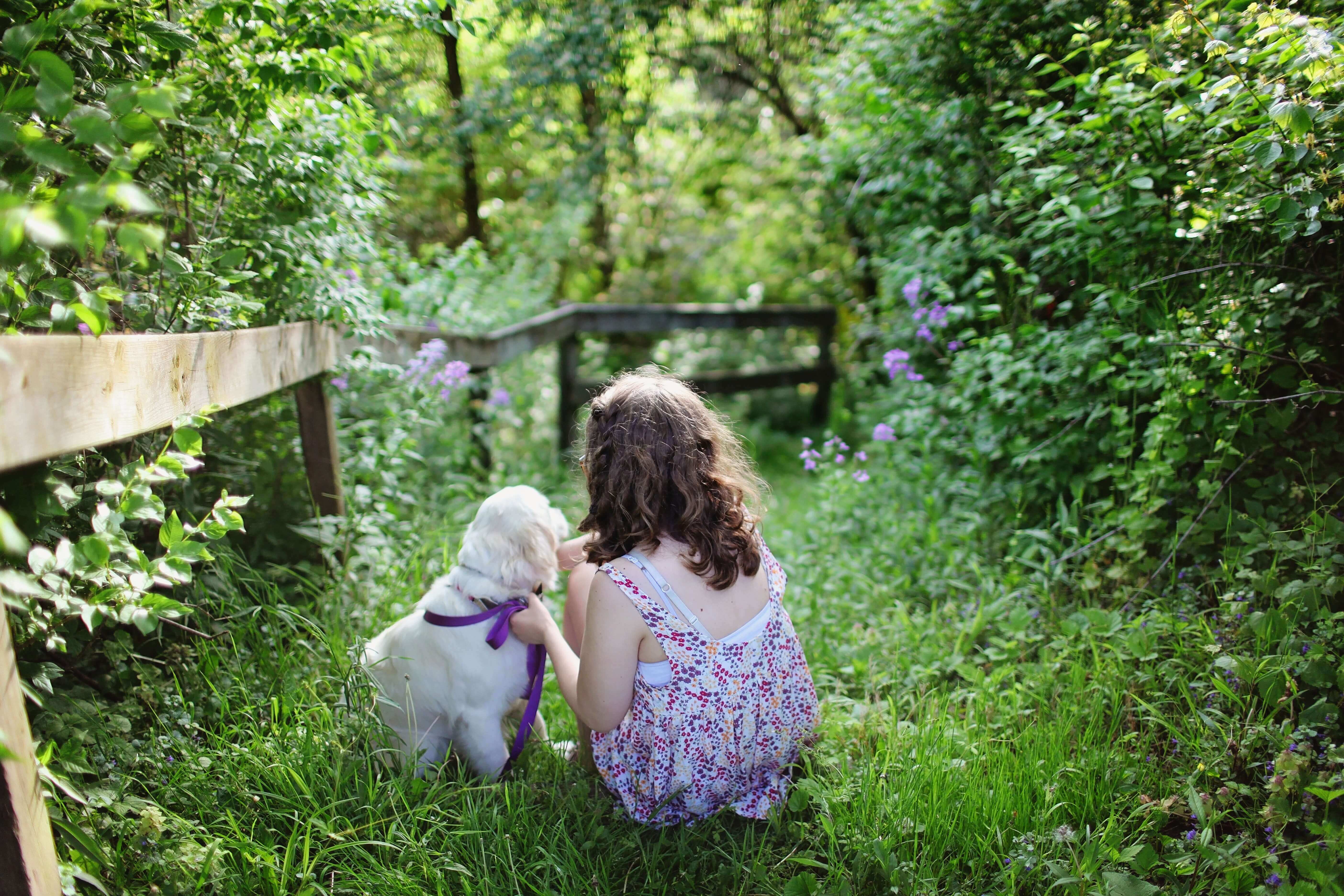 Dog Microchip with Child