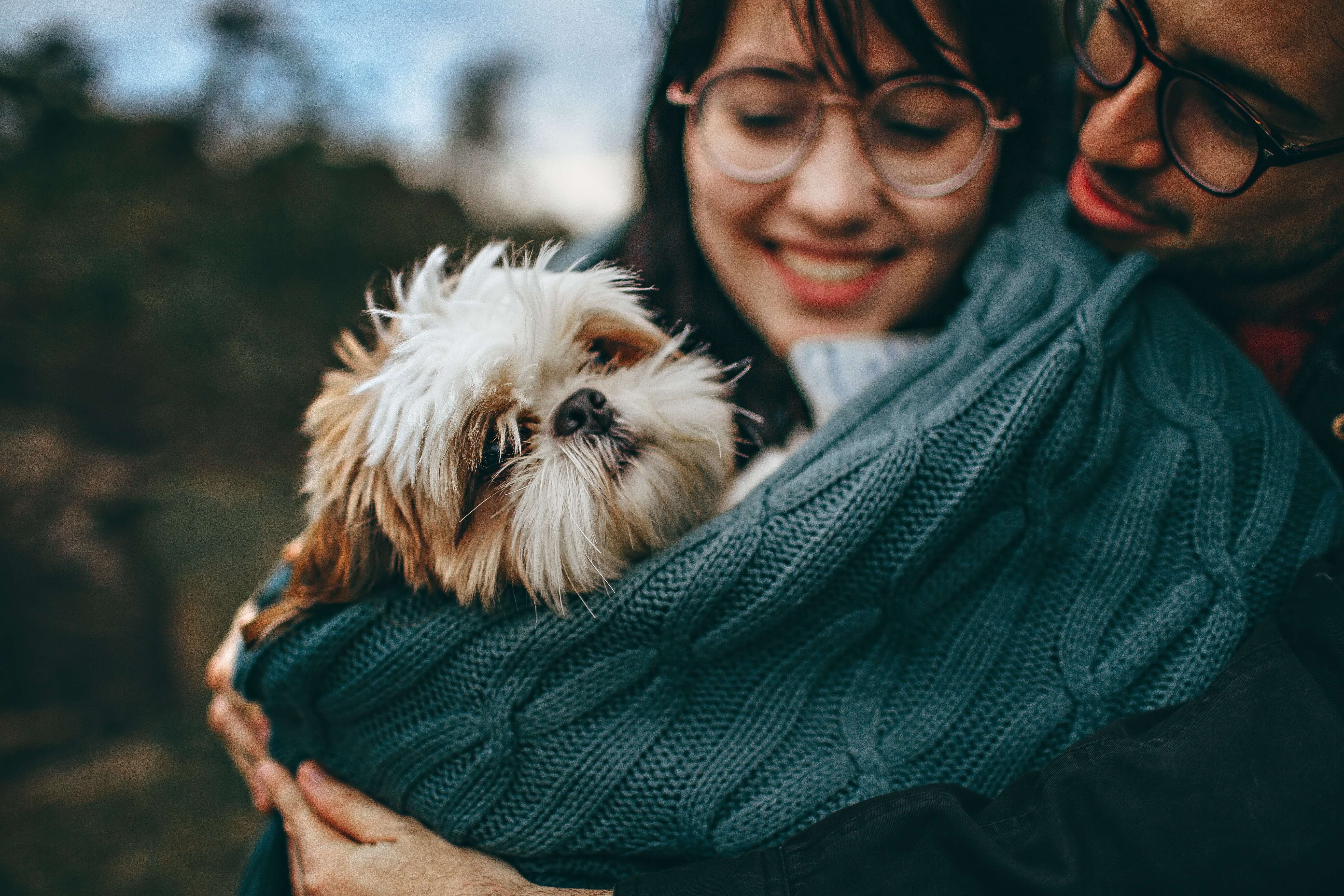 Dog Pregnancy with Family