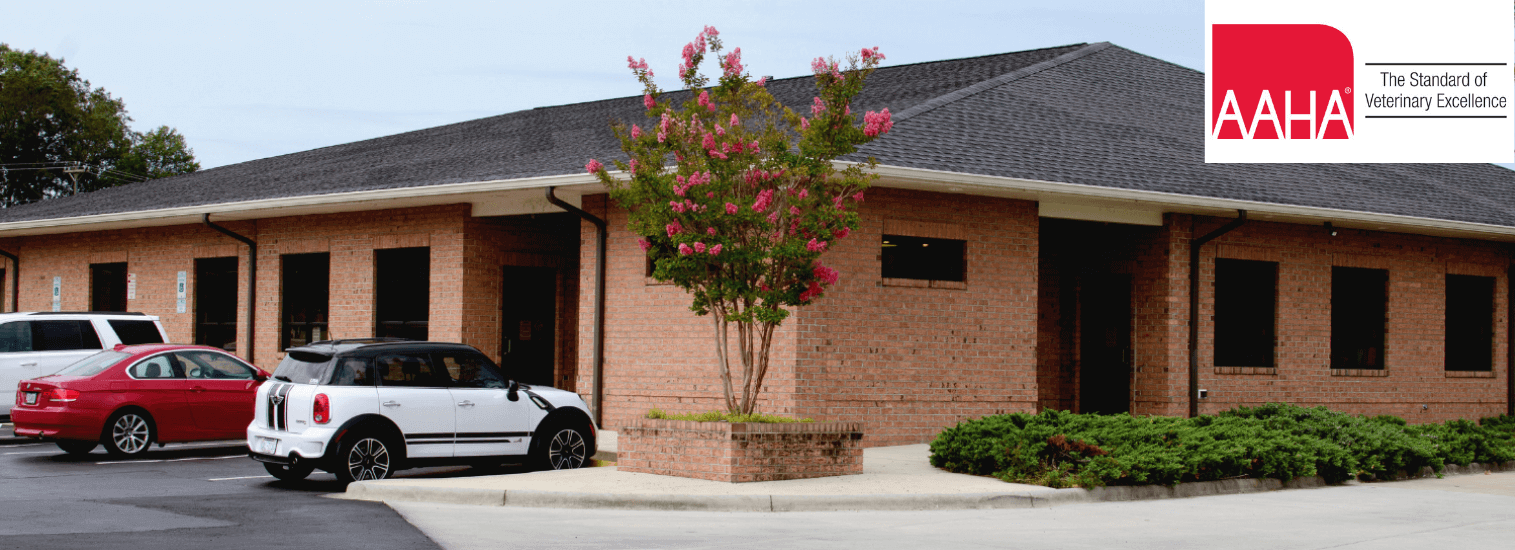 Top Rated Local Veterinarians Indian Trail Animal Hospital