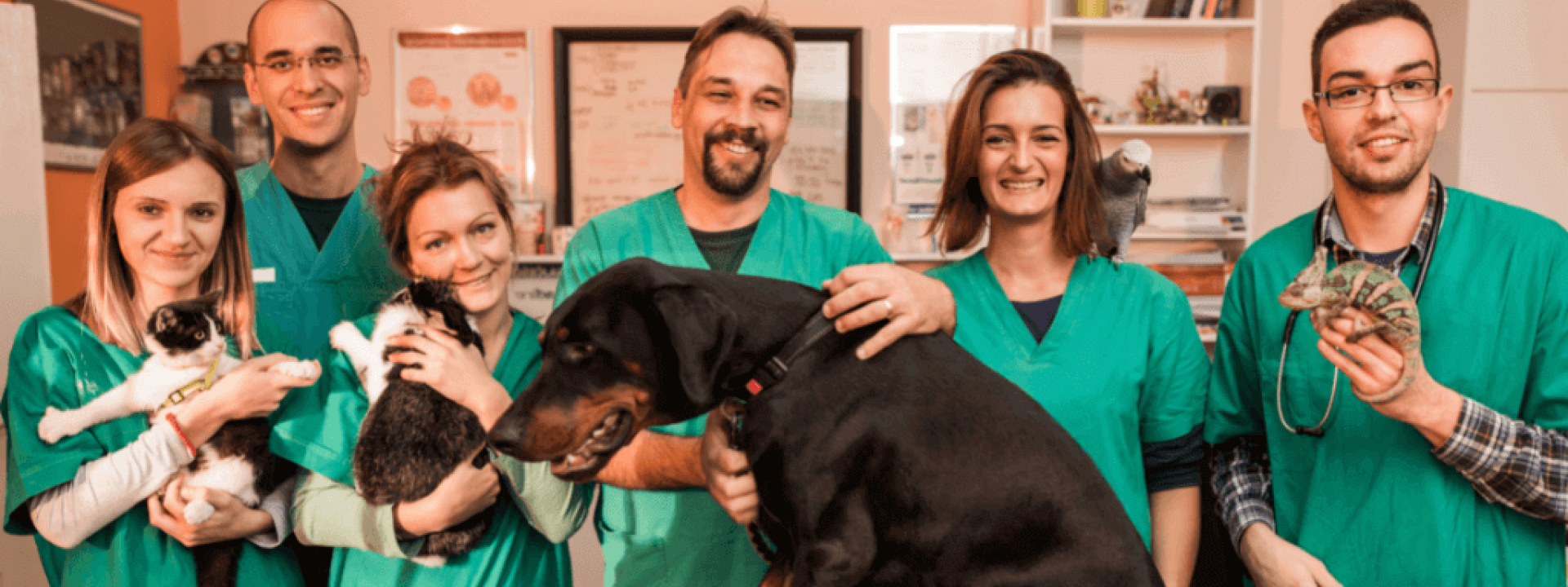 Group of happy veterinarians with animals at vet's office.