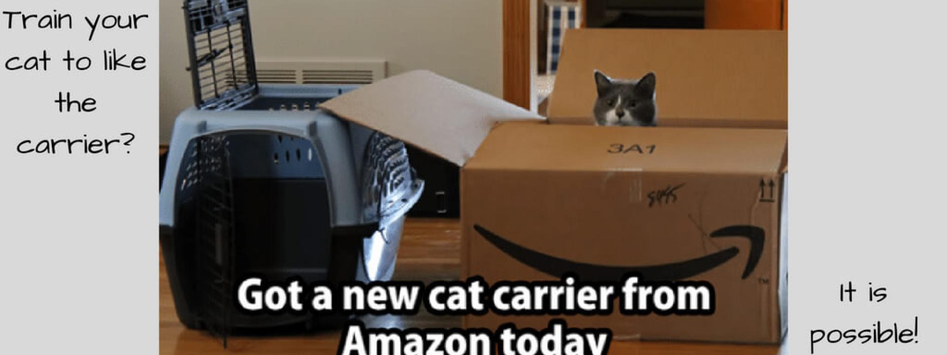 cat-carrier-Blog-Header.jpg