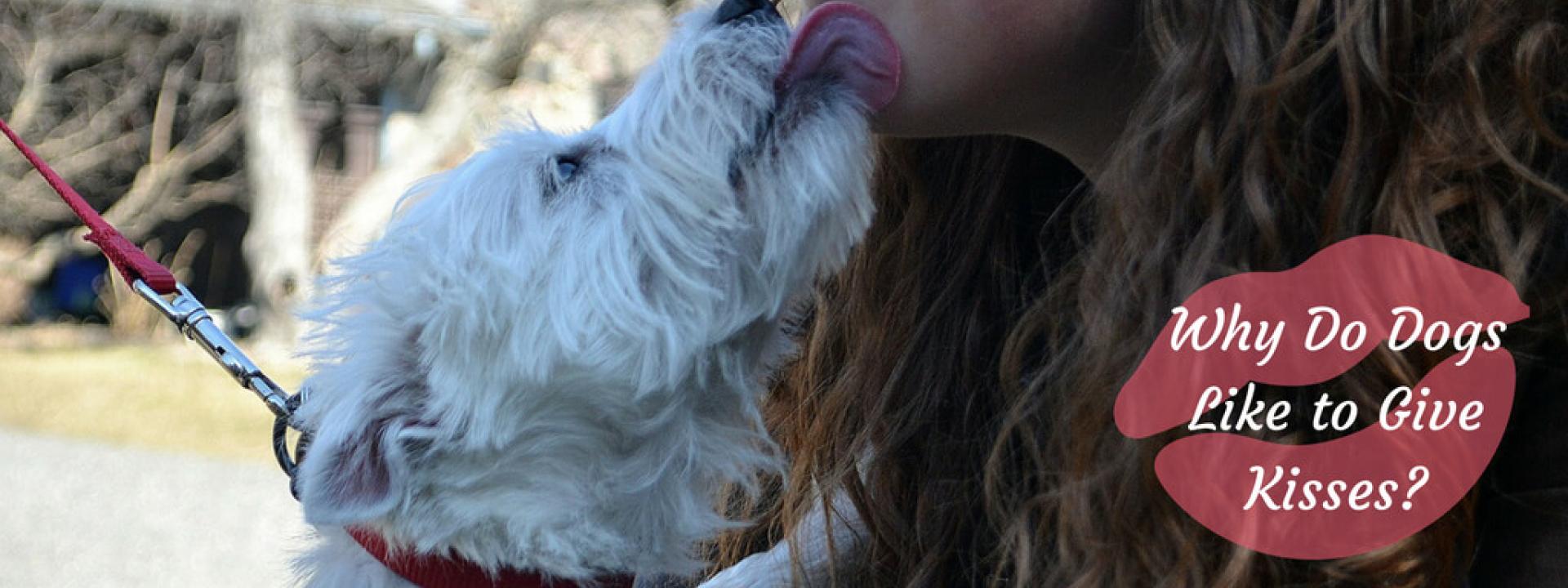 dog-kisses-Blog-Header.jpg