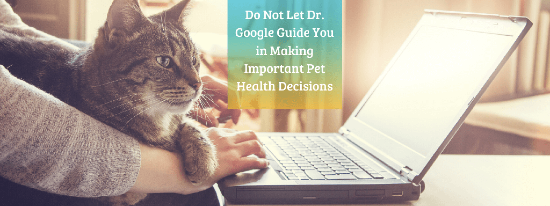 dont-use-google-pet-health.png