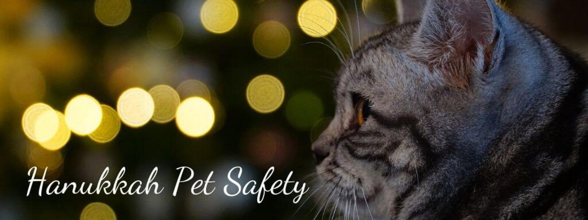 hanukkah-pet-safety-blog-header.jpg