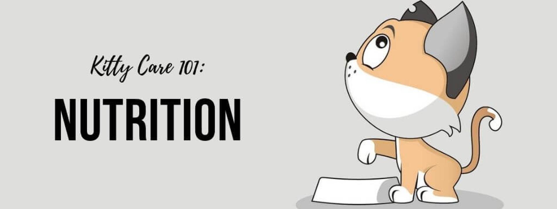 kitty-101-nutrition-blog-header.jpg