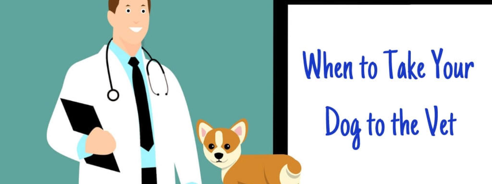 take-dog-to-vet-blog-header.jpg