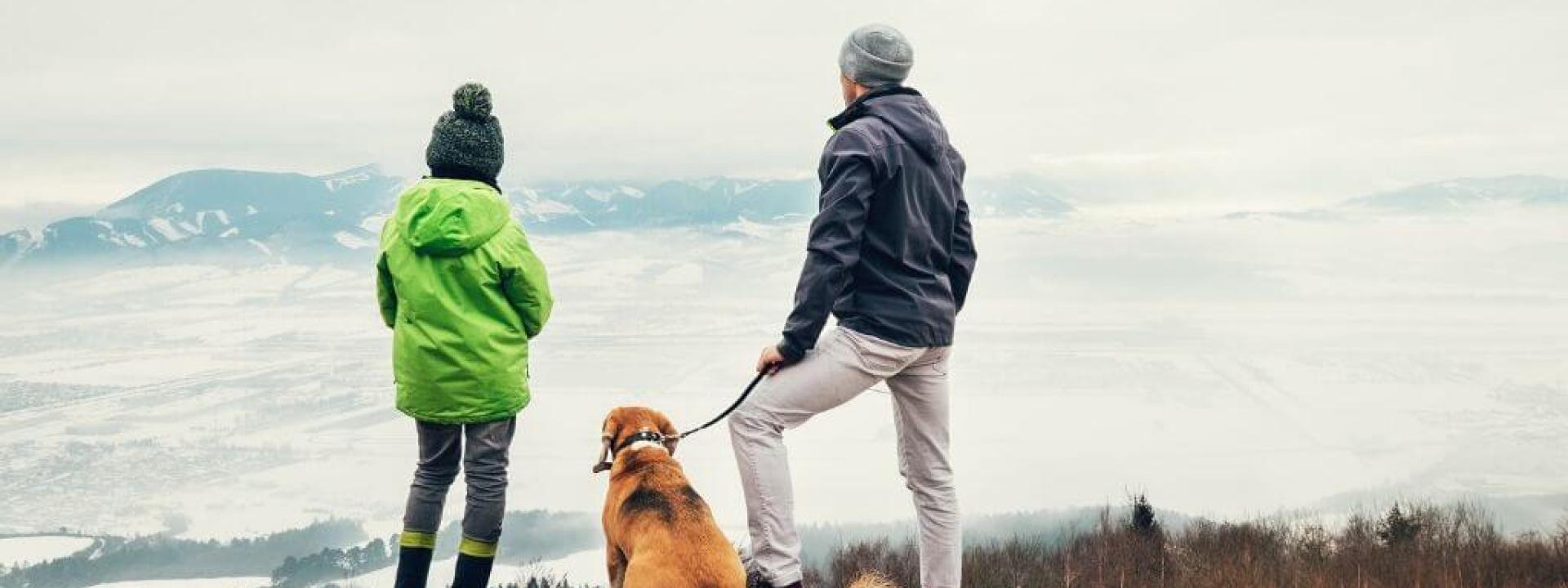 tips-hiking-dogs.jpg